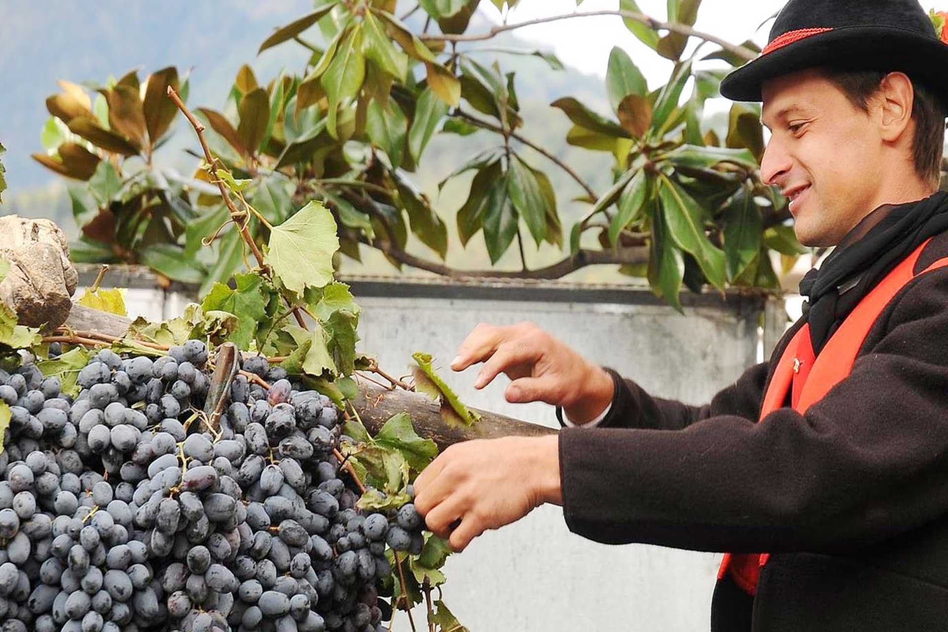 Festa dell'uva a Merano - viaggio di gruppo guidato