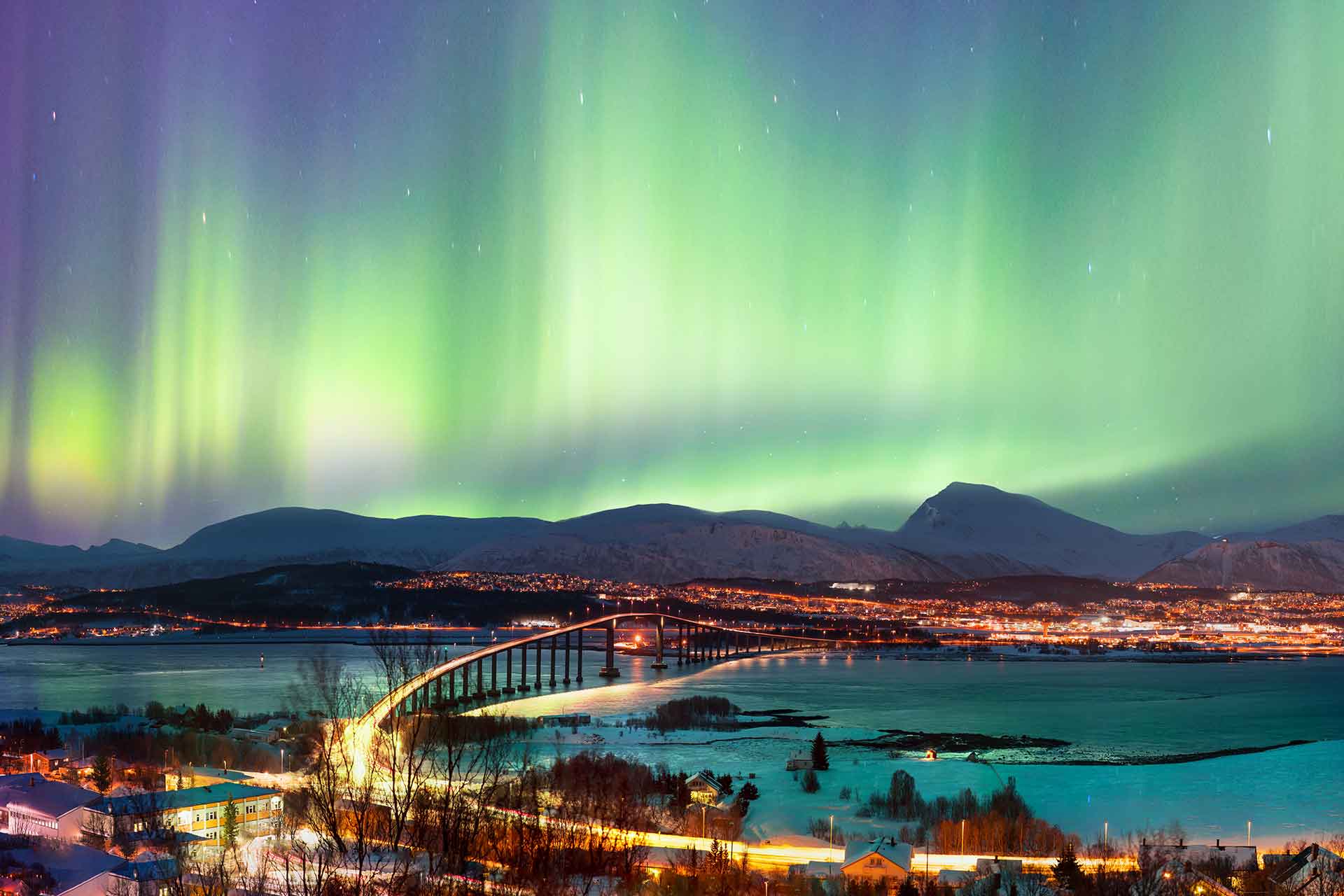 tromso web