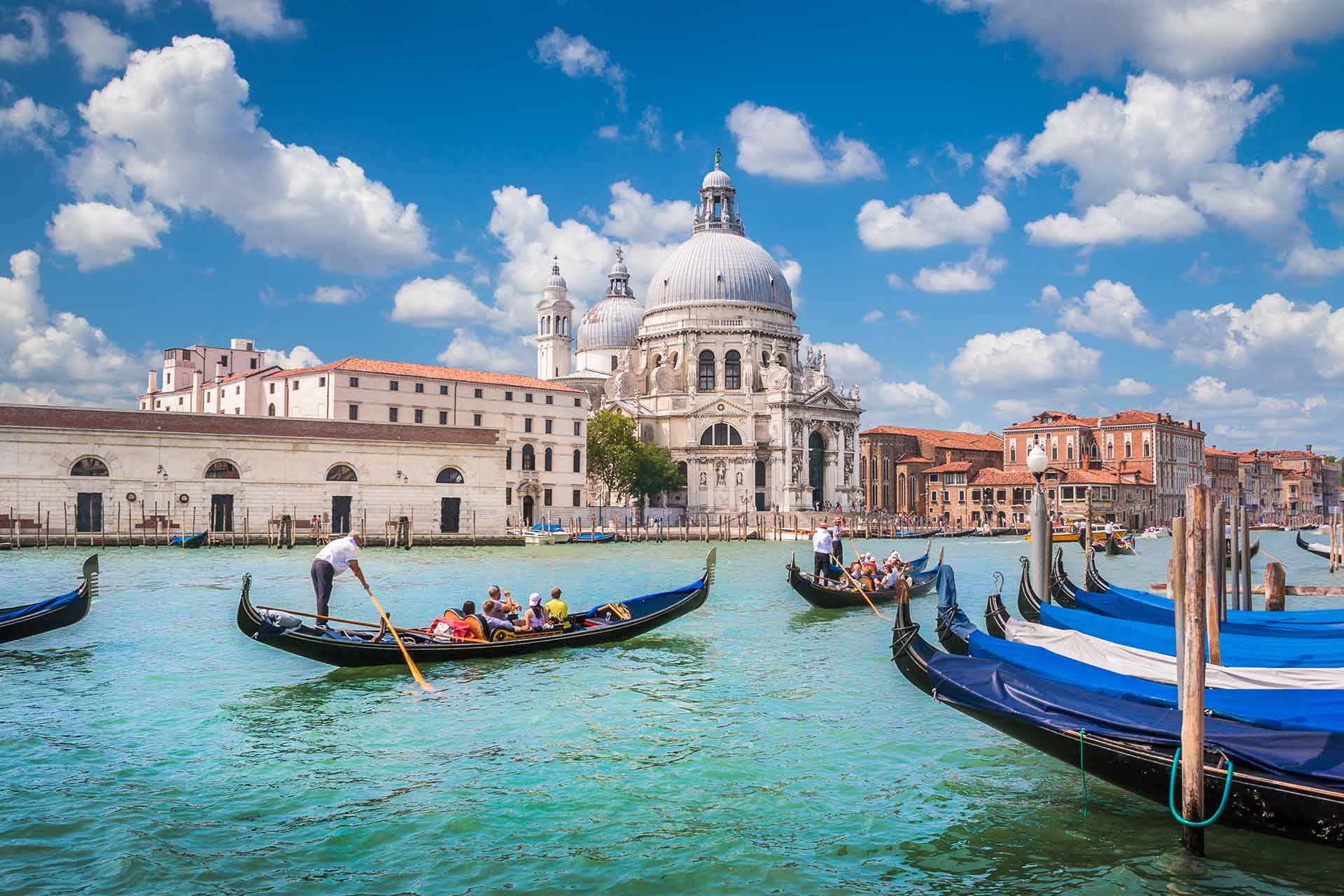 venezia web