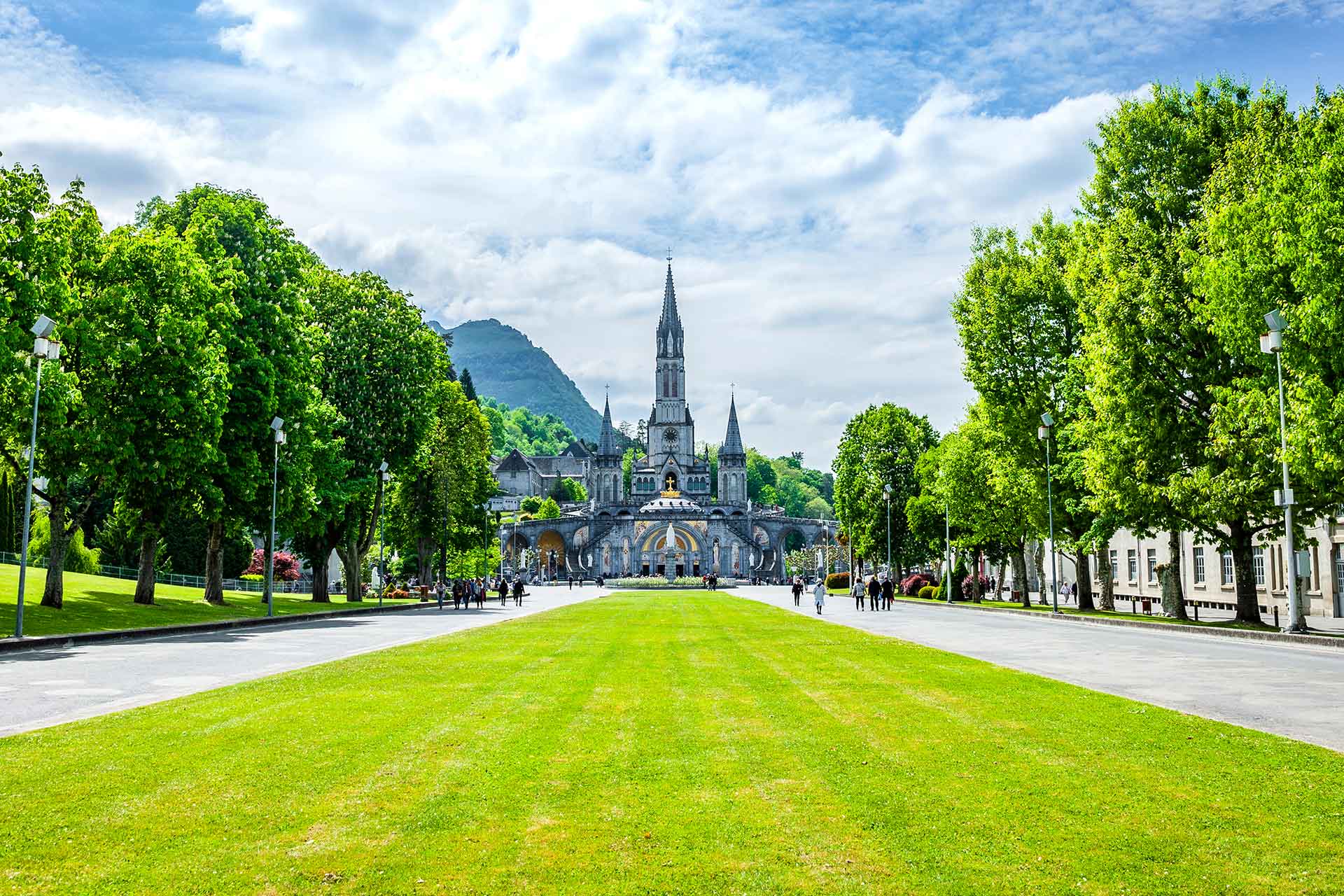 Lourdes in pullman con accompagnatore