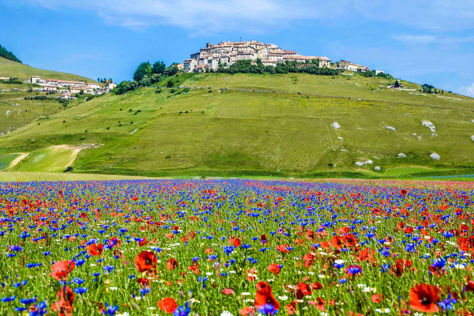 Lenticchie Castelluccio - Tour guidato di gruppo 