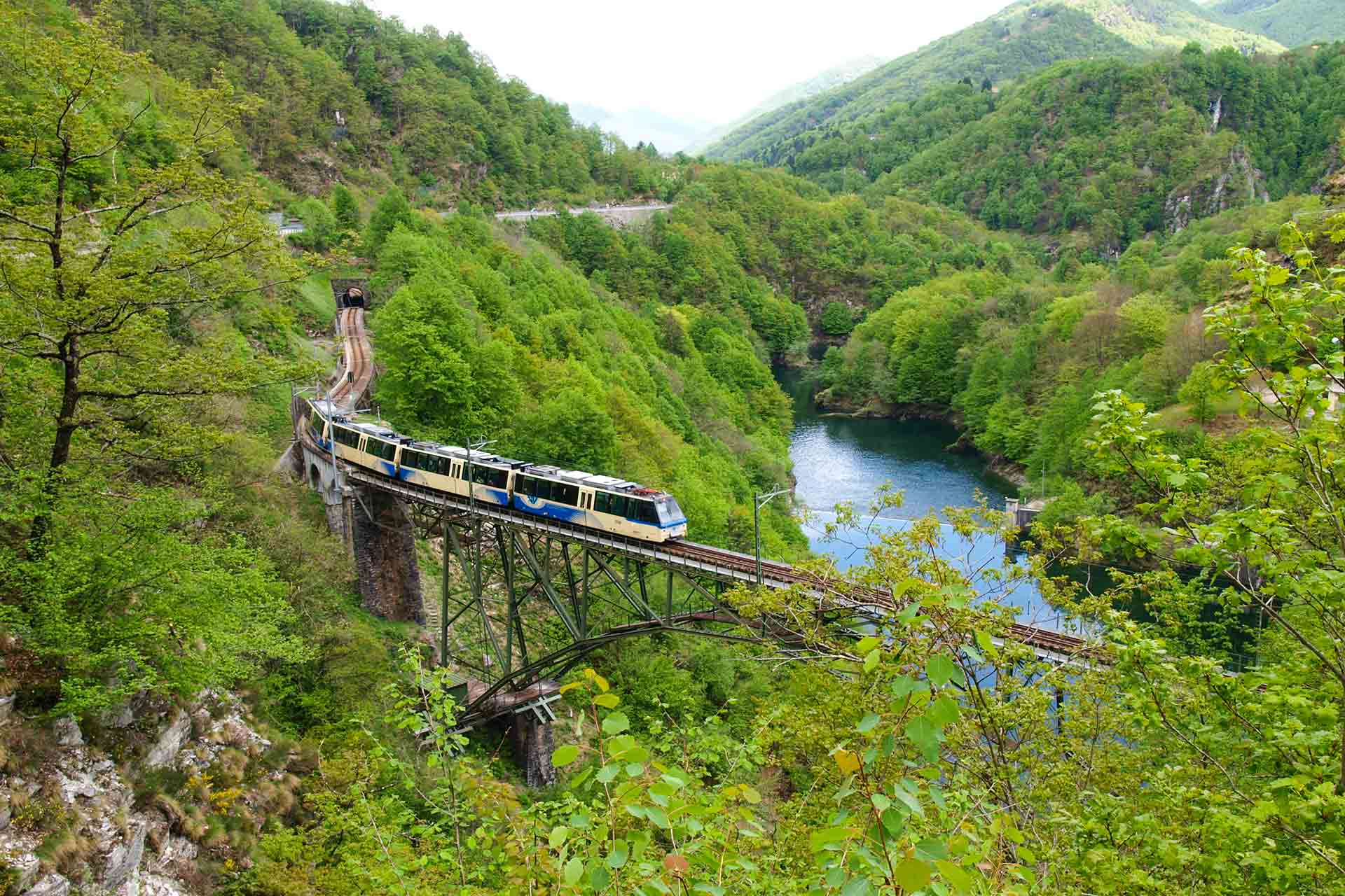 valvigezzo treno web