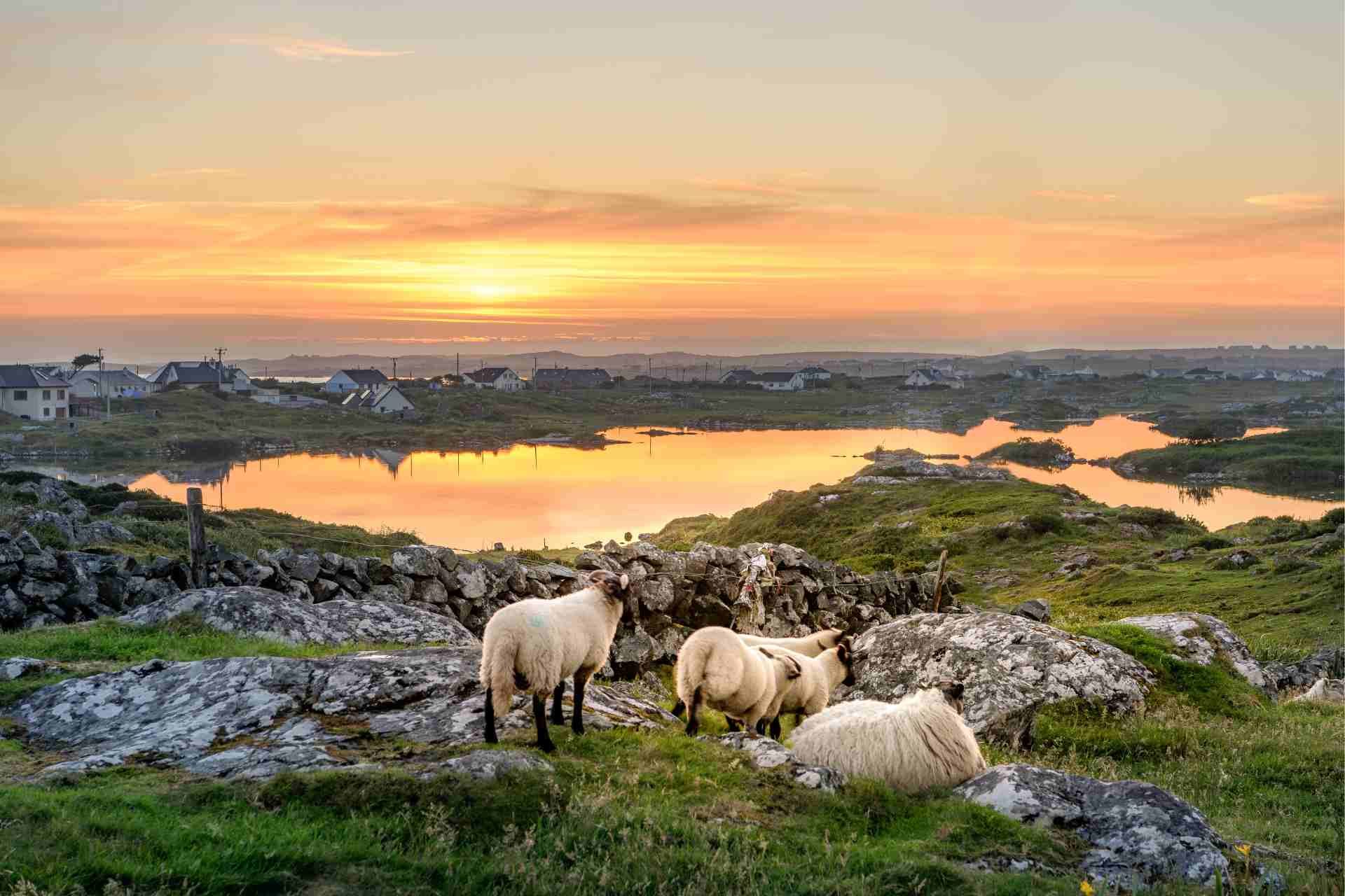 Connemara, Tour di gruppo guidato in Irlanda