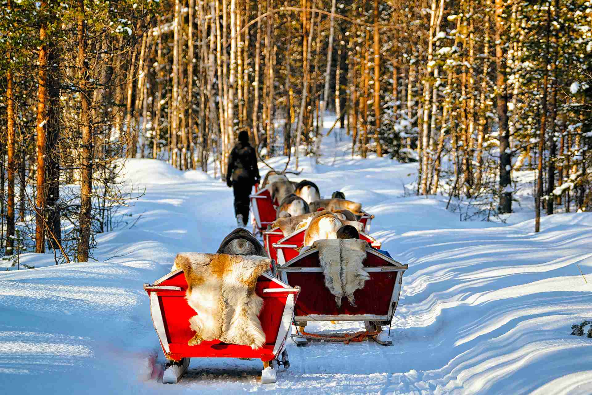 finlandia aurora lapponia svedese 3
