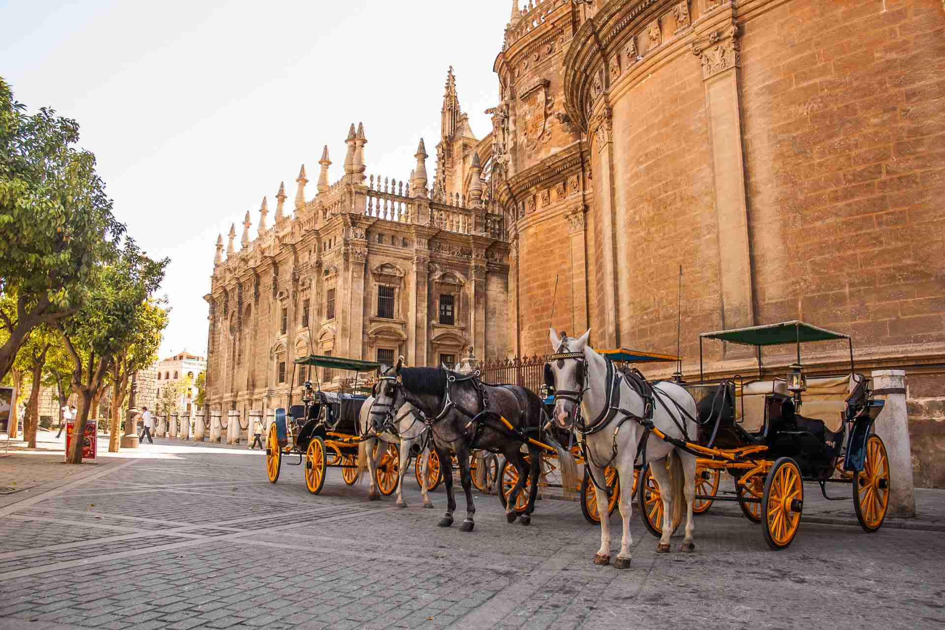 siviglia andalusia canva 3