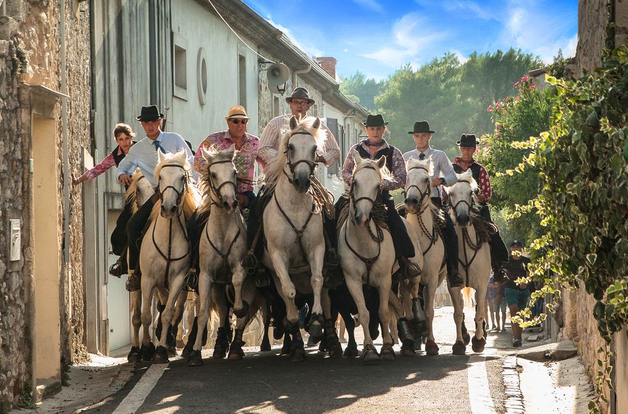 festa zingari gitani canva