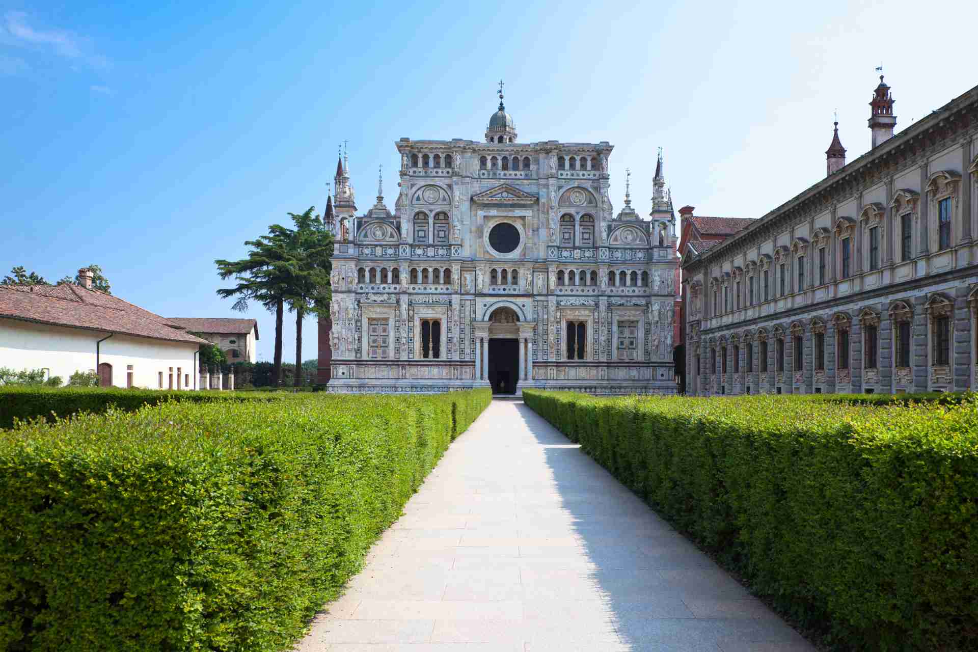 pavia lacertosa canvaweb 2