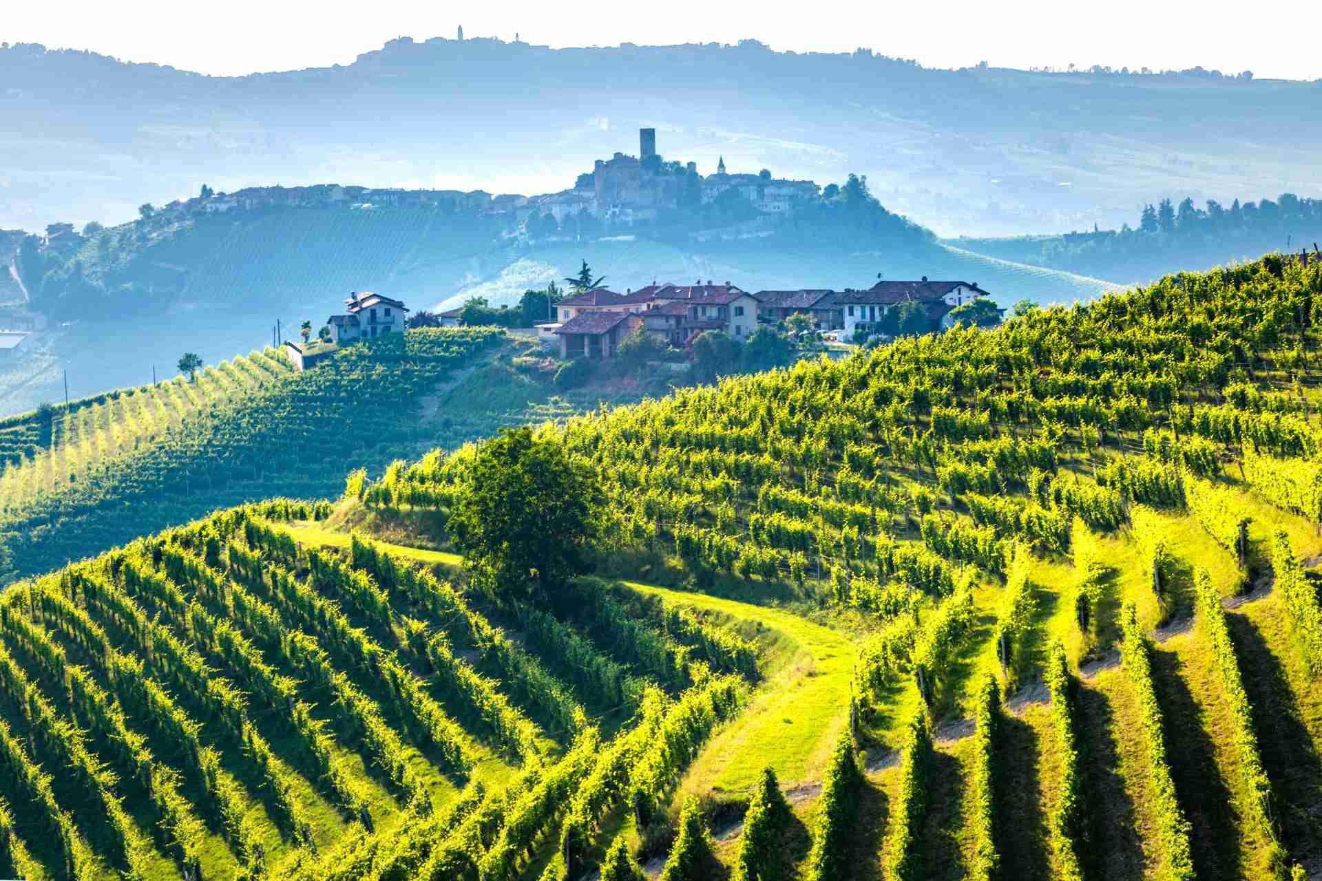 langhe piemonte