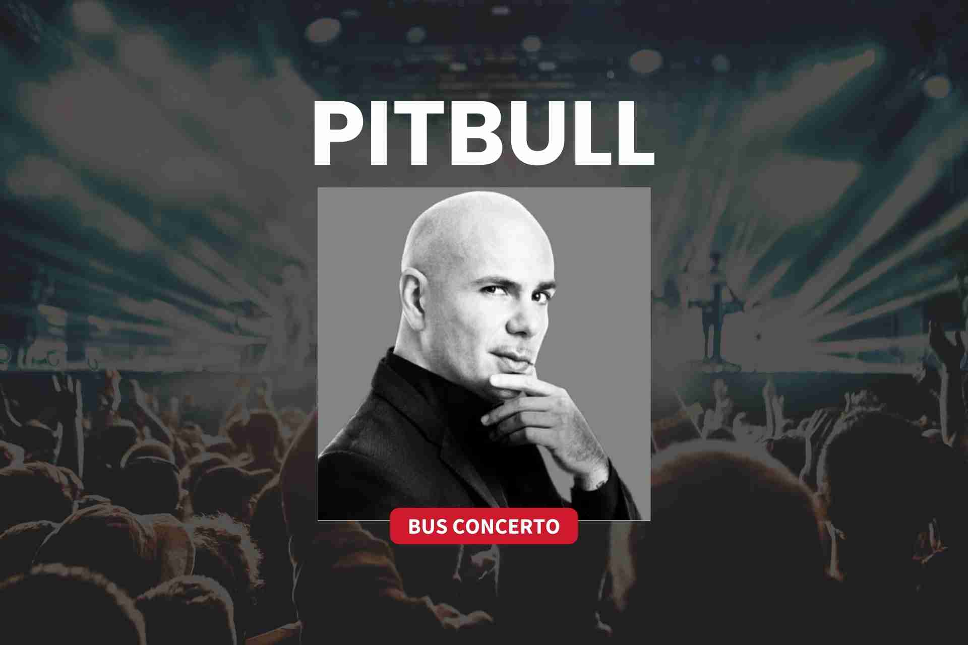pitbull concerto